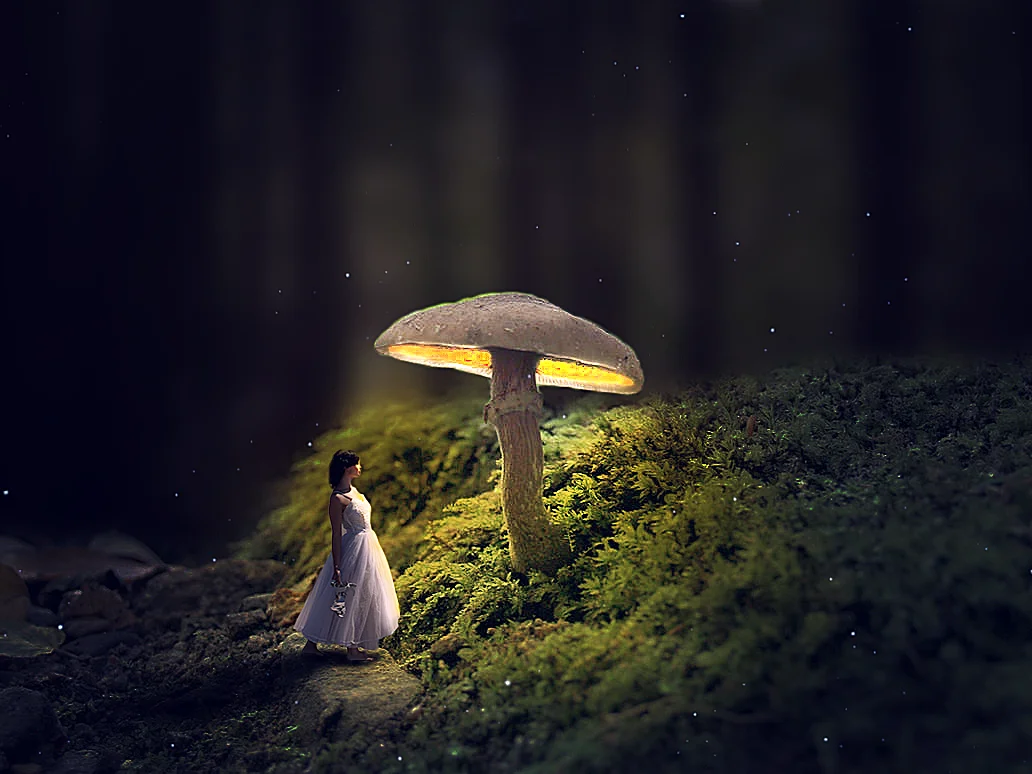 Phto Manipulation - Dream Girl and Mushroom in Photoshop by Dynamic Developers
